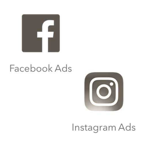 Facebook Paid Ads and Instagram Ads Logos in Egnite Design Brand colors